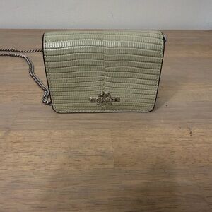 Coach Light Green Crossbody Bag